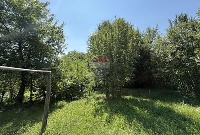 Casă in mijlocul naturii in orașul Câmpulung - 23
