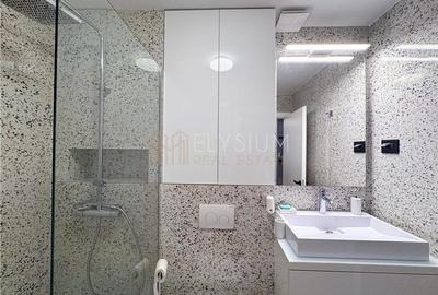 Apartament de inchiriat 2 camere Soseaua Nordului - 18