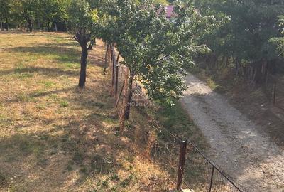 Teren intravilan de vanzare in Turcinesti, sat Horezu - 6