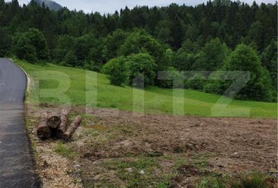 Teren Construcții intravilan de 923 mp, în Bucium
