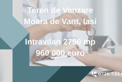 Teren intravilan de vanzare – Moara de Vant, Iași , 2750mp - 2