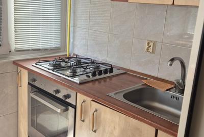 Vanzarea ap 4 camere RAHOVA PETRE-ISPIRESCU - 19