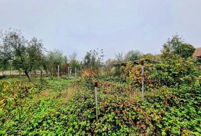 Casă mare, Parter + Etaj, la Vasiova, pe strada Principală (Tudor Vladimirescu) - 12