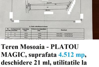 Terenuri Trivale, diverse suprafete, utilitati - 7