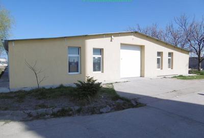 Hale de inchiriat intre 100-1000 mp in Arad - 10