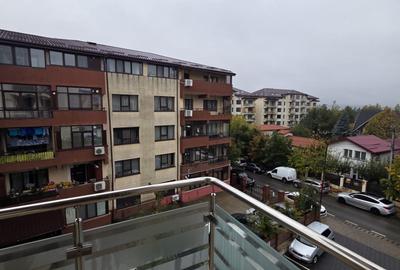 Ap 1 camera, Valea Lupului-Brown Luxury - 7