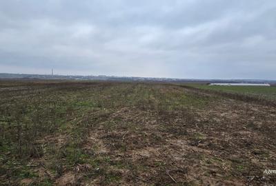 Teren agricol intravilan de 35000 mp, în Periferie