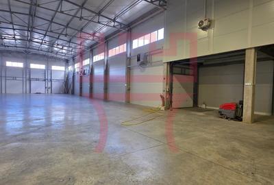 Inchiriere hala cu ISU zona Baciu  + platforma betonata 1.000mp - 2