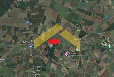 Teren 6,8ha extravilan de vanzare Zimandu Nou - 3
