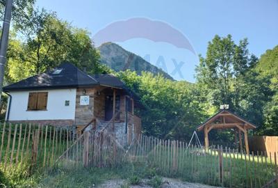 Casă de vacanță deosebită cu ciubăr si saună - natura si relaxare - 4