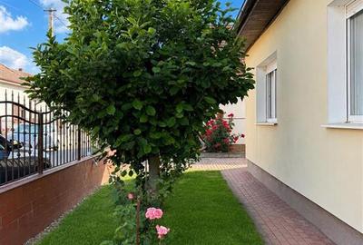 Casa de Lux in cartierul Florilor Fagaras - 23