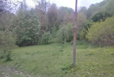 Teren intravilan de 1241 mp, în Provița de Sus