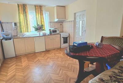 Pucioasa Dambovita,  zona centrala, vanzare casa si teren - 19