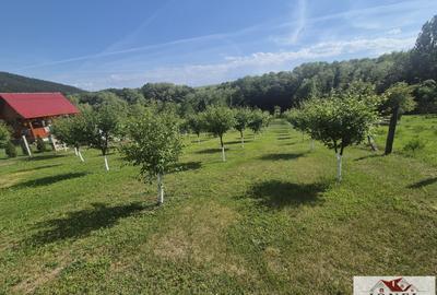 Teren intravilan (2292mp) de vanzare in Vintu de Jos - 7