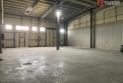 Spațiu industrial, de 377.00 mp, în Șagului