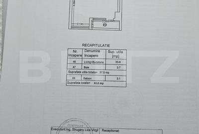 Apartament cu 2 camere, 38 mp,  mobilat si utilat complet, zona Tatarasi - 10
