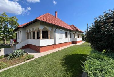 Casa 'din vis' frumoasa ,cocheta, la sol, caramida, 2014, 980 mp teren, M.Kogaln - 9
