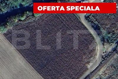 Teren agricol extravilan de 10000 mp, în Blaj