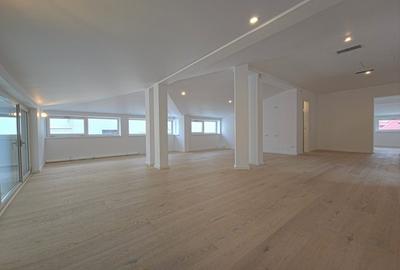 Vila recent renovata Dorobanti - 16