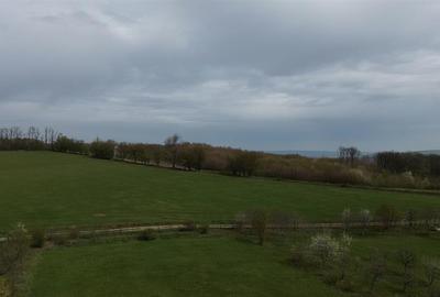 Teren intravilan 5800 mp Mitocasi - Suceava! - 8