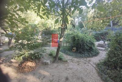 Vânzare teren intravilan Dărăști-Vlașca - 2