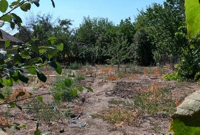 Casă de vânzare în Slobozia, Giurgiu | 1.143 mp teren  5 camere  Curte generoasa - 16
