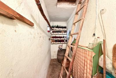 CASA CU TEREN 1080 MP | ACCES AUTO | LOCALITATEA INEU | BIHOR - 11