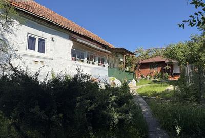 Casă de vânzare in natura la tara - Mihaesti - 28