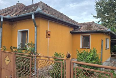 Casă individuală cu 4 camere în Ultracentral