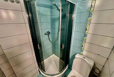 Apartament 4 camere Pacurari - 18