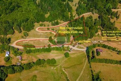 Teren agricol extravilan de 8500 mp, în Dălghiu