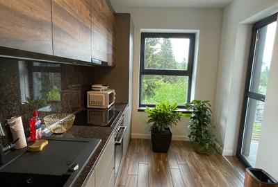 Apartament superb, la 300m de Peles, complex Chatel, 2025, 71mp, la cheie - 40