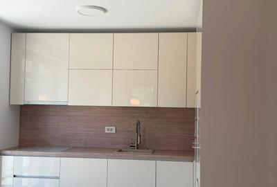 Inchiriere - Vila NOUA - 5 camere - ponton-Lacul Snagov - 9