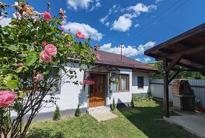 Casă individuală cu 2 camere în Zizin