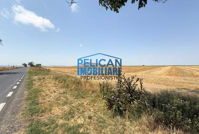 Teren intravilan M. Kogalniceanu, 4000MP, la drumul national - 4