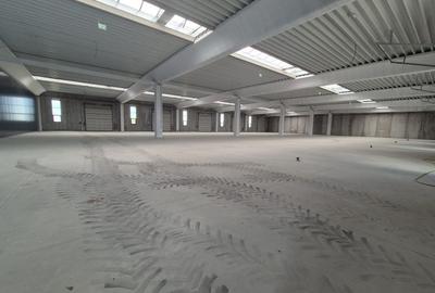 HALĂ INDUSTRIALĂ MODERNĂ DE VANZARE| CHITILA | ACCES RAPID CENTURA - 6