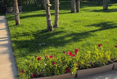 Vila zona Iancu Nicolae - 7