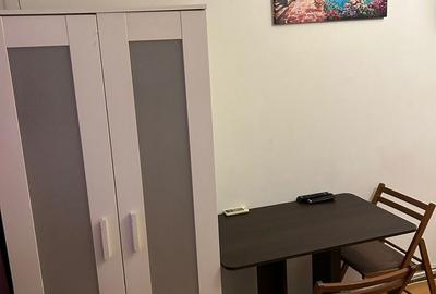 Garsoniera de inchiriat in zona Universitate, ultracentral, cu centrala proprie - 8
