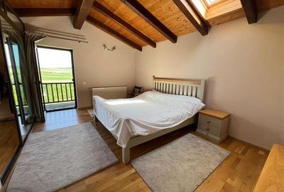 Casa cu teren 4.6 hectare la 17 km de Targu Mures - 10