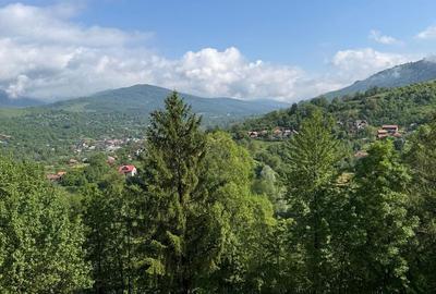 Vila 5 Camere Valea Doftanei Prahova Super View - 6