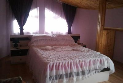 VILA SAU CASA DE VACANTA IN VALEA PRAHOVEI ,BREAZA CEL MAI CURAT AER DIN ROMANIA - 7