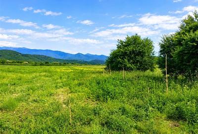Teren extravilan  de vanzare Talmaciu - 2