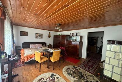 Casa Cocheta de vacanta, Dognecea - 3