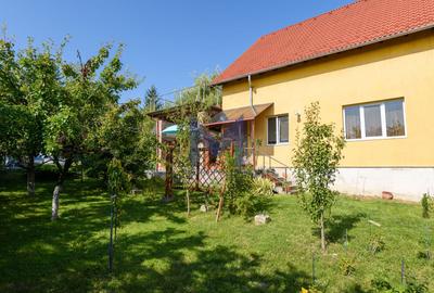 Casa cu salcie - vilă pe 1.804 mp, front la două străzi, Feleacu - 38