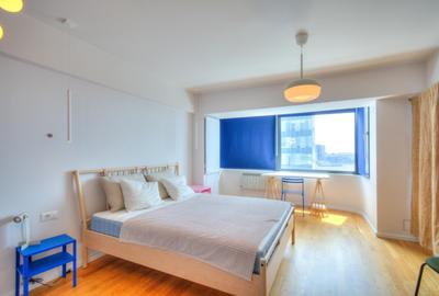 Apartament 2 camere Piata Victoriei - Bd Titulescu - Prima inchiriere! - 17