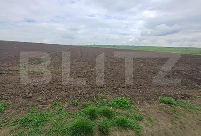 Teren agricol intravilan de 3256 mp, în Periferie
