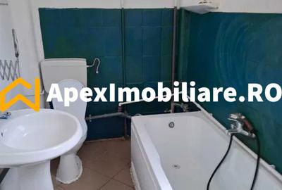 Apartament 2 camere de inchiriat Cismigiu București | ApexImobiliare.ro - 8