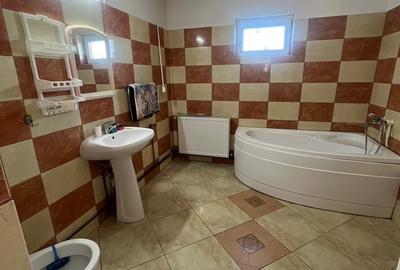Casa de vanzare zona Albesti - 10