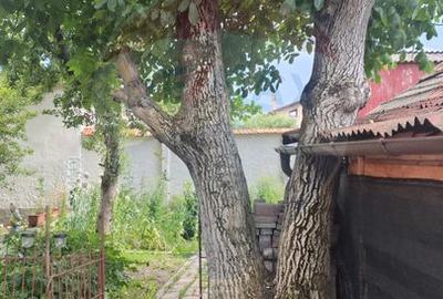Casă individuala cu vedere catre muntii Postavaru de inchiriat - 12