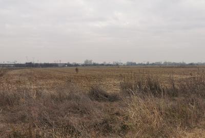 Teren Exclusiv 4.550 mp Ciolpani - Zona Narrative / Pădurea Snagov - 6